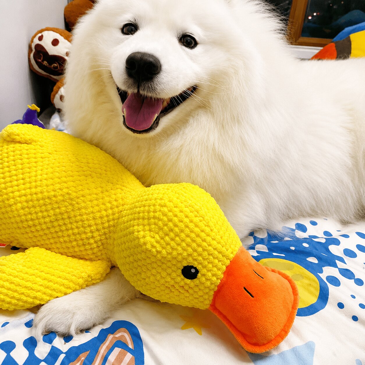 Calming Duck