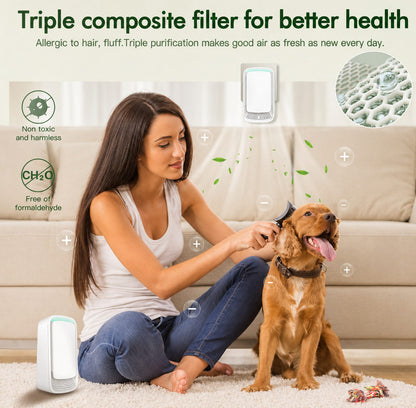 CleaniFlow™ Ionic Air Purifier