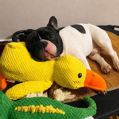 Calming Duck