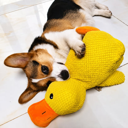 Calming Duck