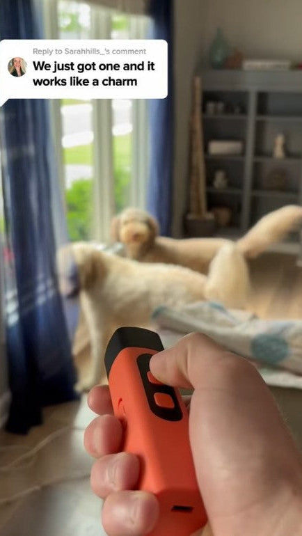 Anti_Barking_Device_Share_Reviews