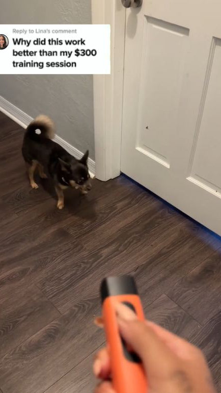 Anti_Barking_Device_User_Opinion