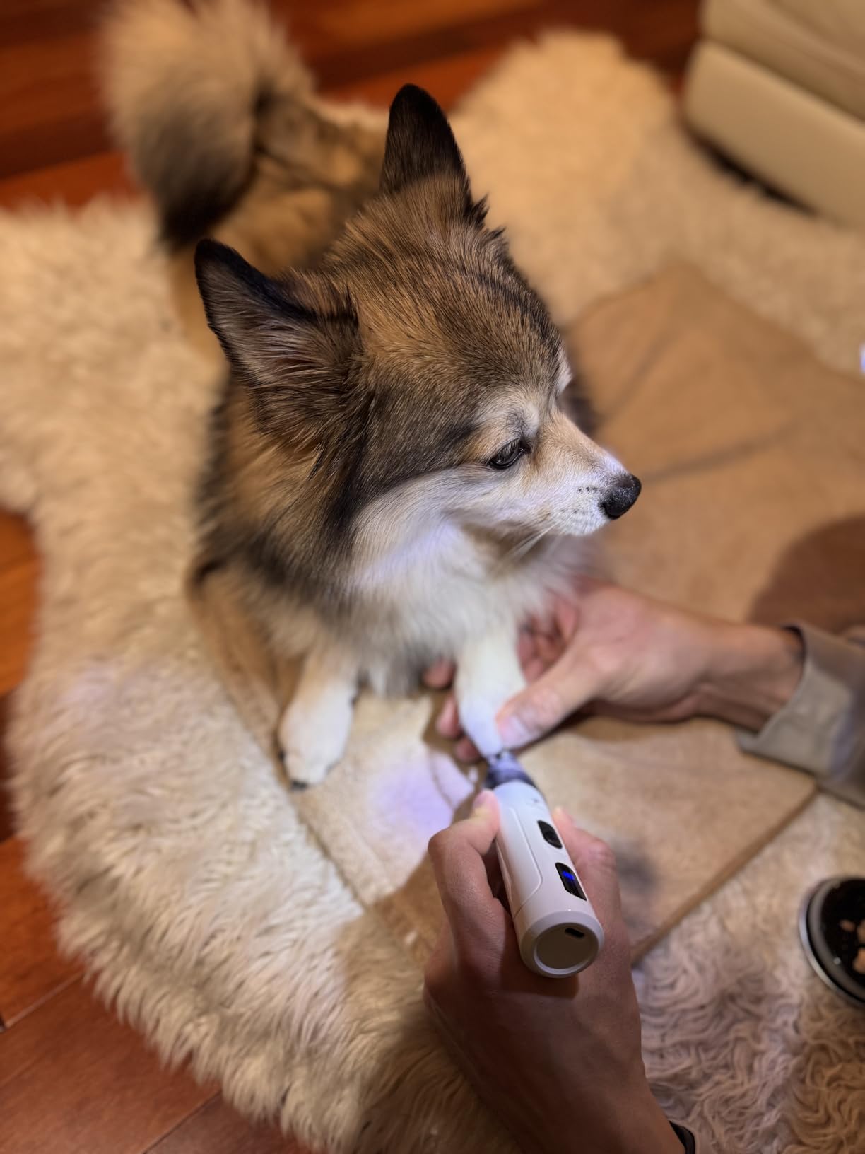 Dog_Nail_Grinder_Testimonial-1