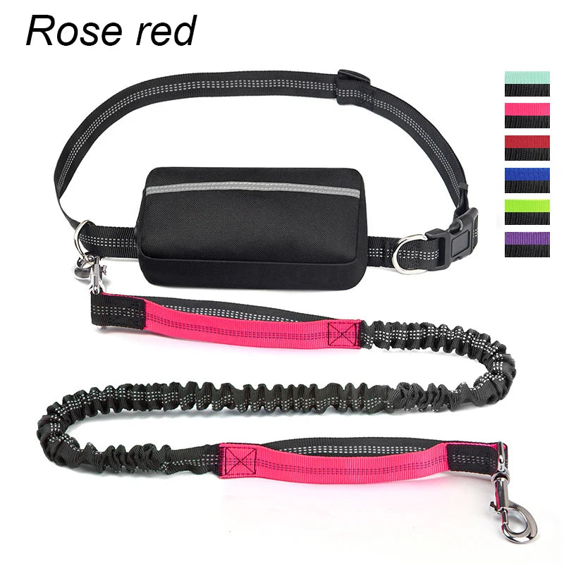 FreeStride™ – The Hands-Free Dog Leash For Stress-Free Walks