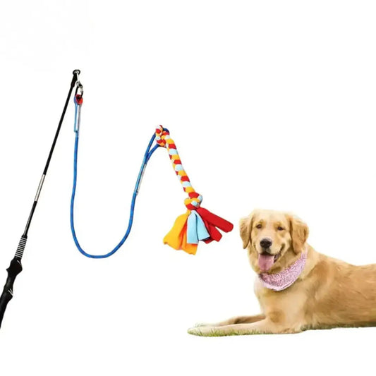 Outdoor Tether Tug Toy for All Dogs