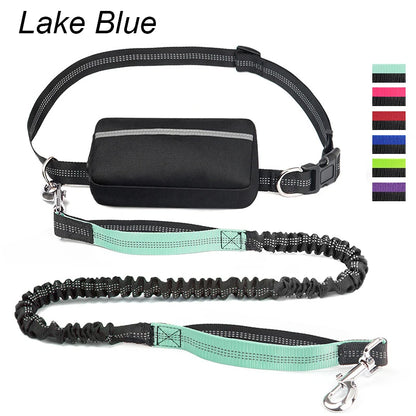 FreeStride™ – The Hands-Free Dog Leash For Stress-Free Walks