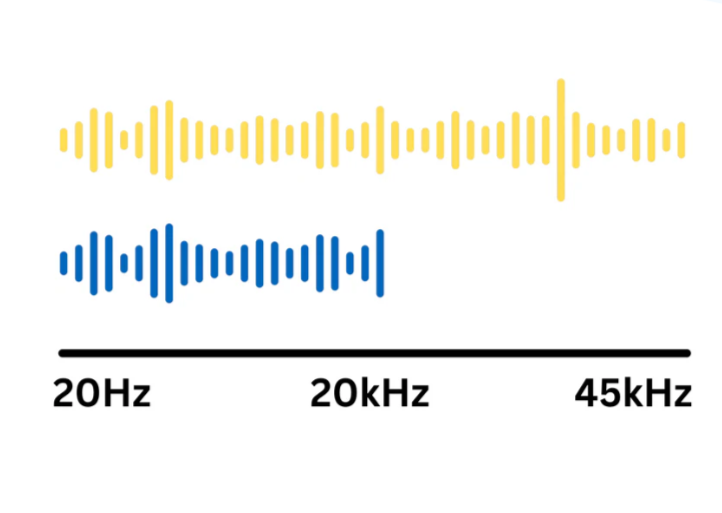 The Science Behind the Sound