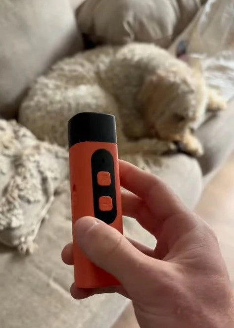 Ultrasonic_Dog_Training_Device_Test-1