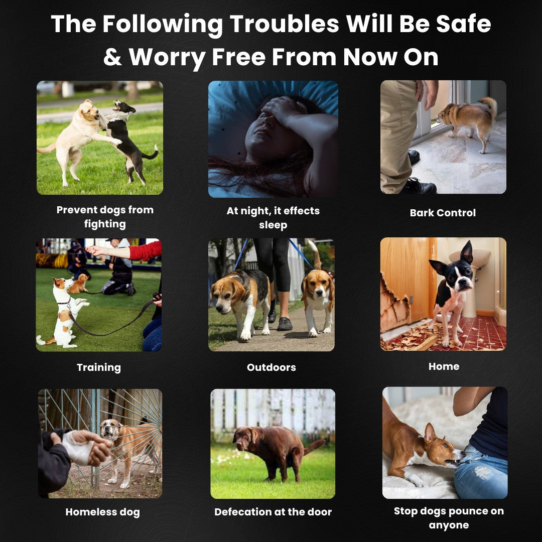 Ultrasonic Worry Free Dog Training Device